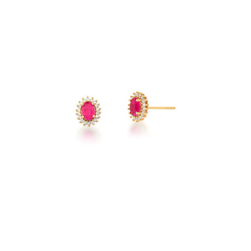Brinco oval fucsia entorno cravejado dourado